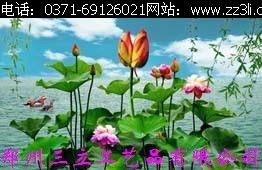 郑州三立引领三维立体画制作软件开发新潮流